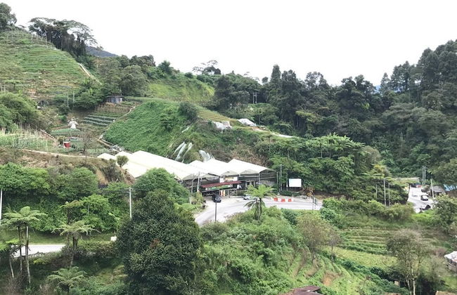 The Retreat mountain view at Cameron - Photo 27