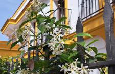 Villa Marcel - Foto 1