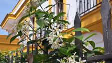 Villa Marcel - Foto 1, Garden view