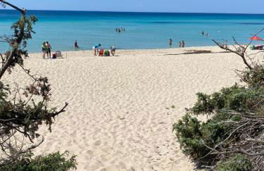 Salento Casa Vacanza Il Focolare - Foto 49