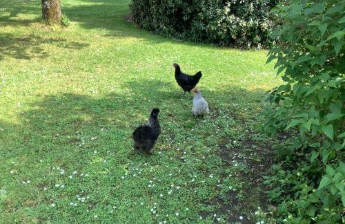 La Forge, Lieu des Chevilloux - Foto 40