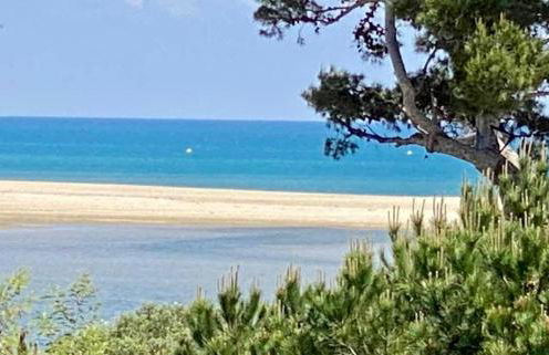 La Franqui Vue Mer Exceptionnel - Foto 43