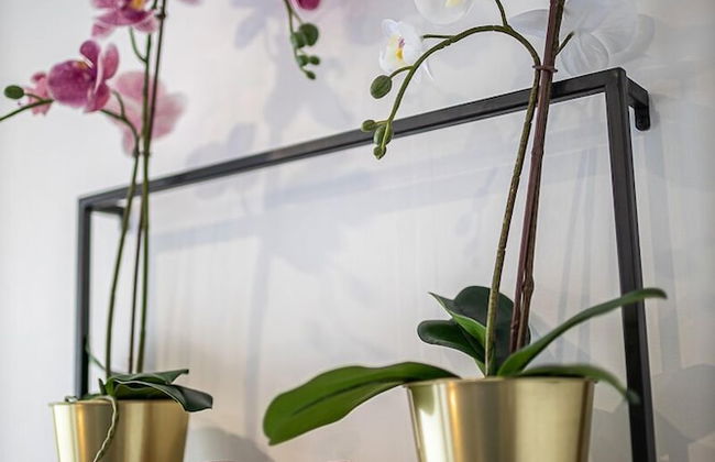 Escape time in Paris - Foto 6