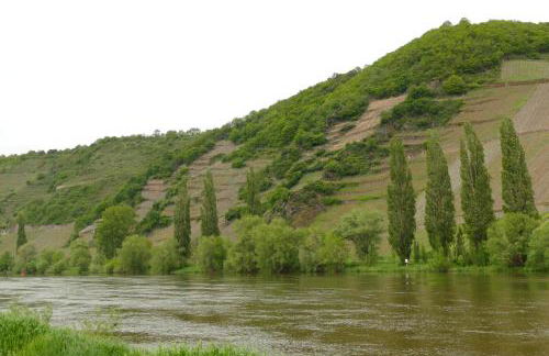 Luiza Fewo - Foto 13