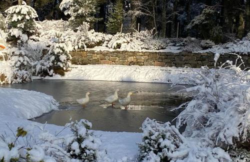 Red Squirrel Lodge - Foto 37