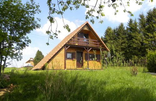 Chalet in Dabo near Castle Ruins - Photo 7