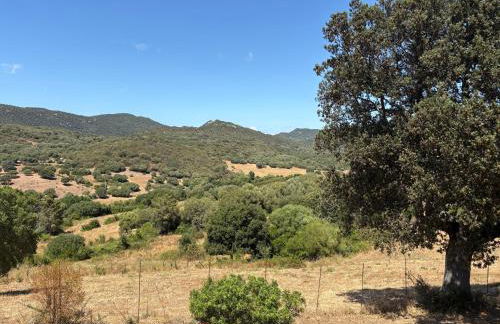 Entre mer et maquis- maison avec piscine privée - 8 minutes plage tizzano - Foto 35