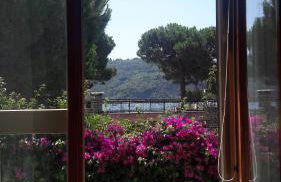 Villa Elena - Photo 10