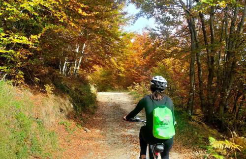 Da Castruccio degli Antelminelli - Foto 21