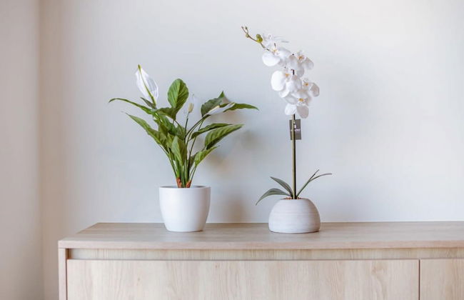 Modern Apartment With Sea-view in Knokke-heist - Foto 26