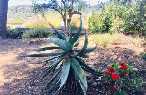 Gaou Benat, village des fourches, Label patrimoine XXe siècle - Foto 7