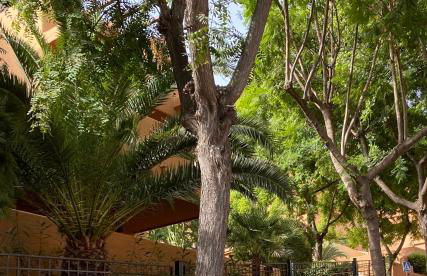 Lagos de Santa María Luxury Apartment Isabel - Photo 10