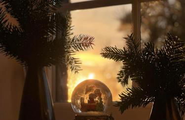 Seeidyll an der Wublitz - Foto 15