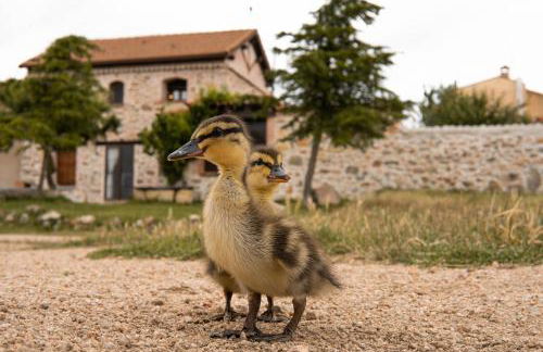 LA CASA DEL BUHO - Foto 28