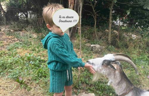 La rive du Viaur - Foto 18