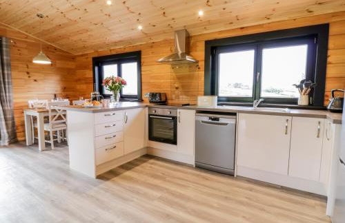 Bryn Eiddon Log Cabin - Photo 15