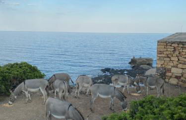 Casa Depau 2 - Foto 12