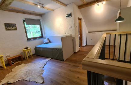 Forestside House Gacka with relax area - Foto 8