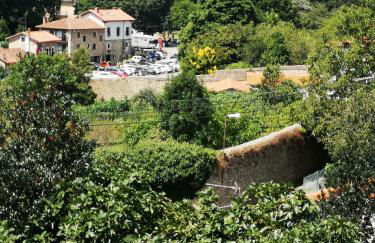 Mayorazgo De Altamira Mila - Foto 24