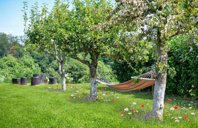 Hedonistic Vineyard Estate - Photo 28