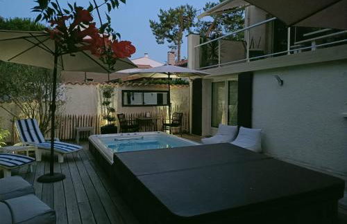 Pomme de Pin et Mimosa - Foto 10