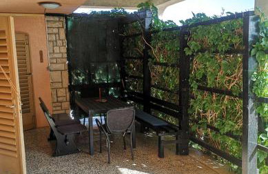 Apartman Jasna Banjole I - Foto 4