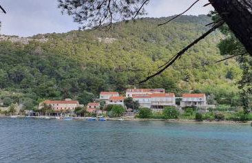 Apartmani Pjevalo-Mljet - Photo 19