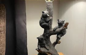 Zen Cottage in the Woodlands - Foto 18