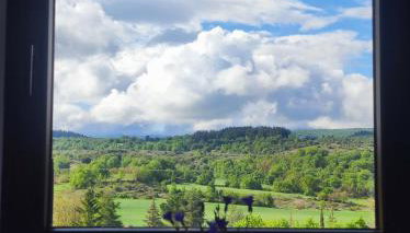 Suite Curry - Photo 3