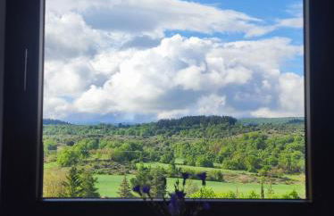 Suite Curry - Photo 1