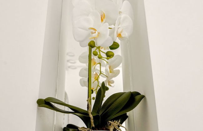 Metropole Apartments Old Town - Foto 75