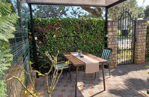 Excellent studio MIA - Foto 24