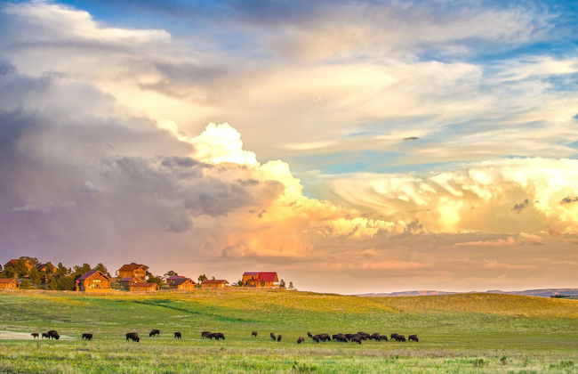 Zion Mountain Ranch - Foto 1