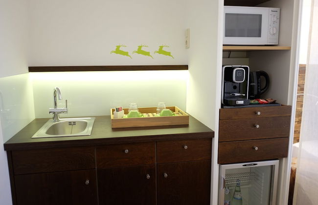 Aparthotel Parsberg Green Design Ferstl - Foto 30