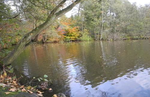 Ferienwohnung Meyenburg - Foto 26