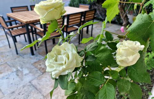 Premium apartment ALBA ROSA - Foto 27