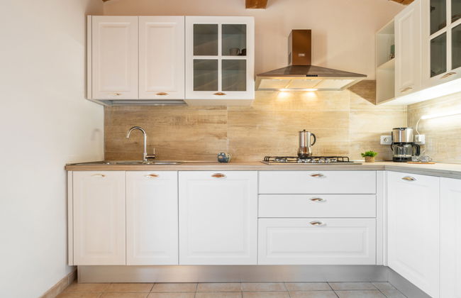 Eucalipto - Photo 15