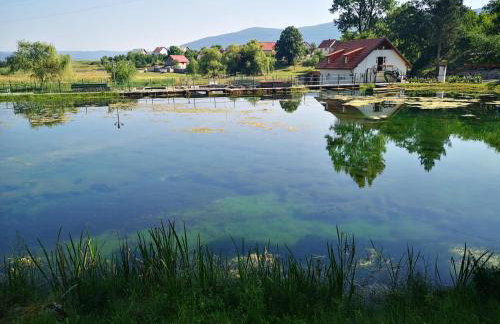 Haus Martha - Foto 13