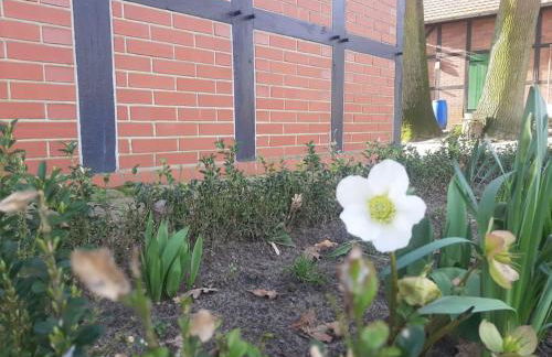 Ferienwohnung auf dem Land - Foto 30