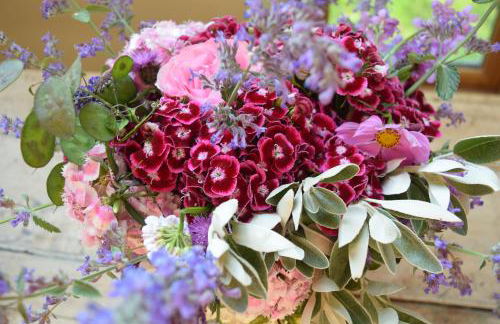 Nantgwynfaen Organic Farm Wales - Photo 44