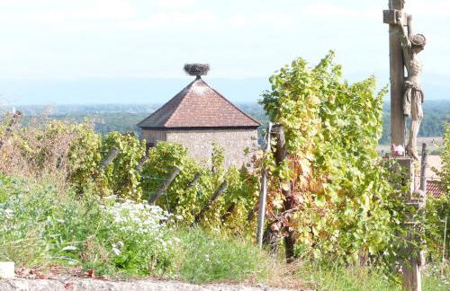 Le p'tit coin de chez nous - Foto 66