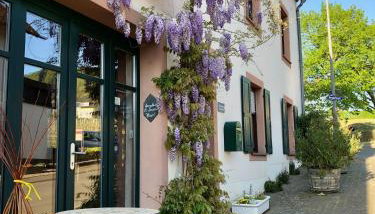 Ferienweingut Matthias Löwen - Foto 5