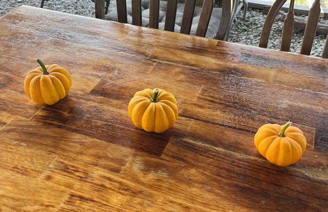 Cabin with Character - Foto 10