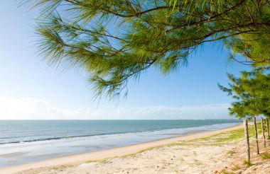 Apartamento Encantador Térreo Piscina B04 - Foto 9