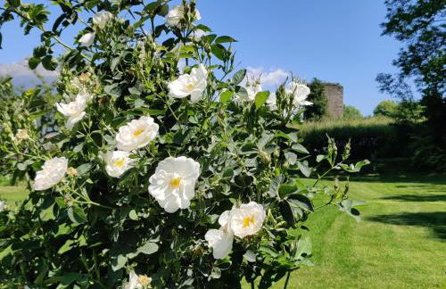 Au Fond du Bourg - Foto 37