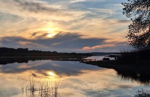 El Antiguo Corral de Sevilla - Foto 20