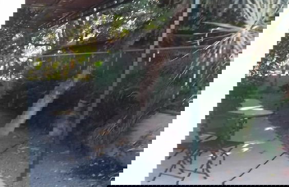 Casa Nelly - Photo 25