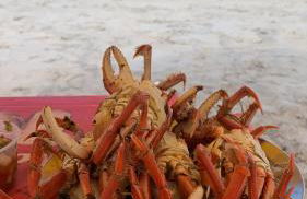 Apê de Mainha - Foto 41