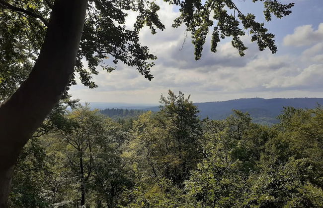 Ferienhaus in Wieda mit Garten - Foto 27