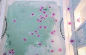 Paraiso em Angra dos Reis - Foto 47